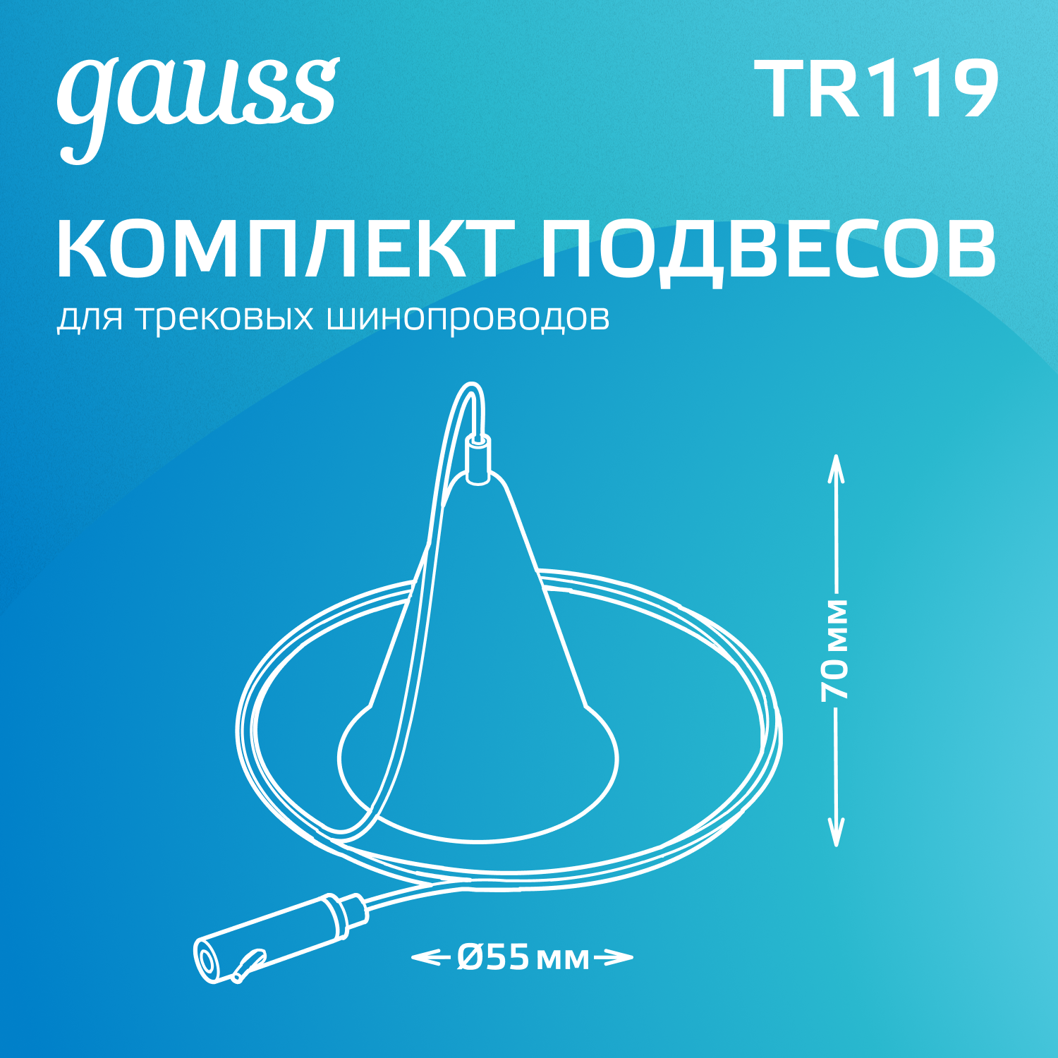 Комплект подвесов для трековых шинопроводов 1шт цвет черный однофазный Gauss GAUSS TR119