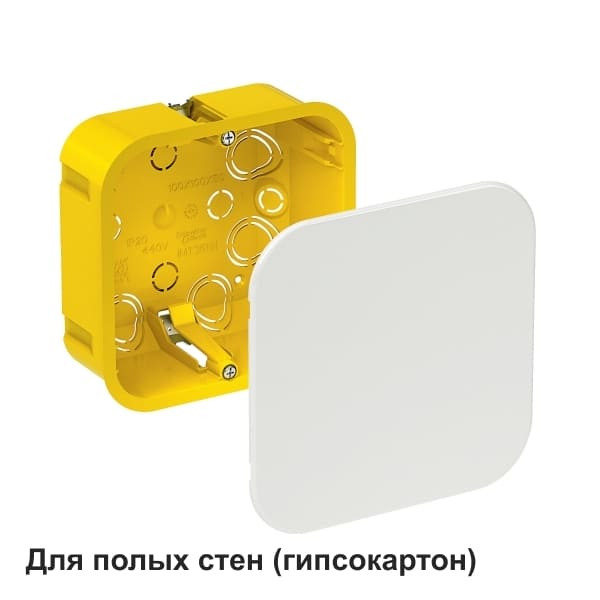 Коробка распределительная для полых стен 100x100x50 DIY Systeme Electric IMT351611