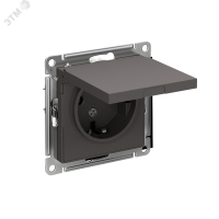 ATLASDESIGN РОЗЕТКА с заземл. со шторками с крышкой, 16А, IP20, механизм, БАЗАЛЬТ Systeme Electric ATN001446