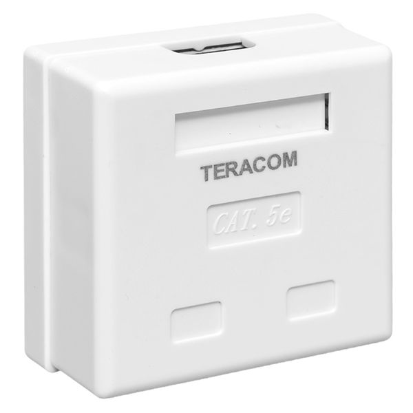 Розетка настенная TERACOM Cat.5E неэкранированная 2 порта RJ-45 Dual IDC белая EKF TRC-WBOX-2RJ45-5EUTP-WH