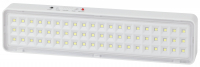 Светильник светодиодный аварийный непостоянный DBA-103-0-20 60LED 5ч IP20 40/1600 ЭРА Б0044396