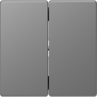 Клавиша двойная D-Life сталь нержавеющая SD Schneider Electric MTN3400-6036