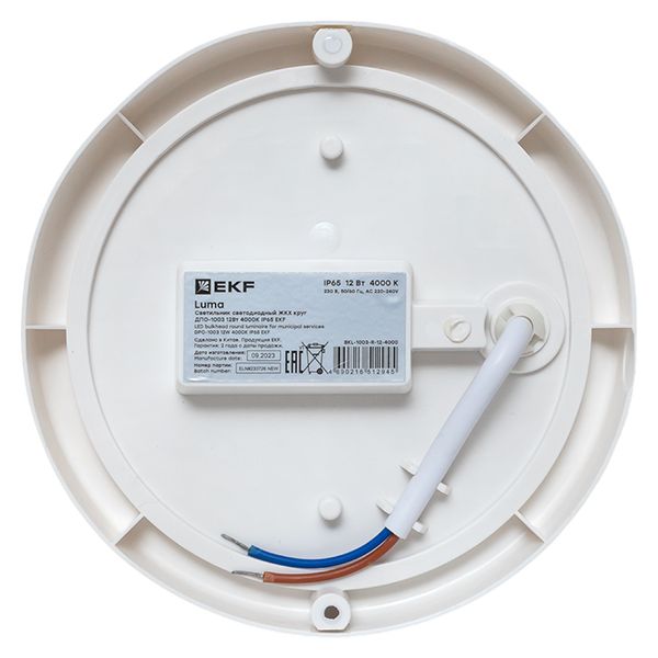 Светильник светодиодный ЖКХ круг ДПО-1003 12Вт 4000K IP65 LUMA EKF BKL-1003-R-12-4000