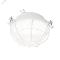 Светильник светодиодный потолочный ДПП03-13-003 LED 865 Ардатовский светотехнический завод (АСТЗ) 1003613003 1003613003*