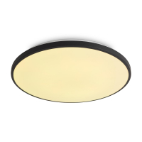 Светильник потолочный Obelle LED 24W 2000Лм 3000-6500К, RGB IP20 Черный Freya FR6211CL-L24B