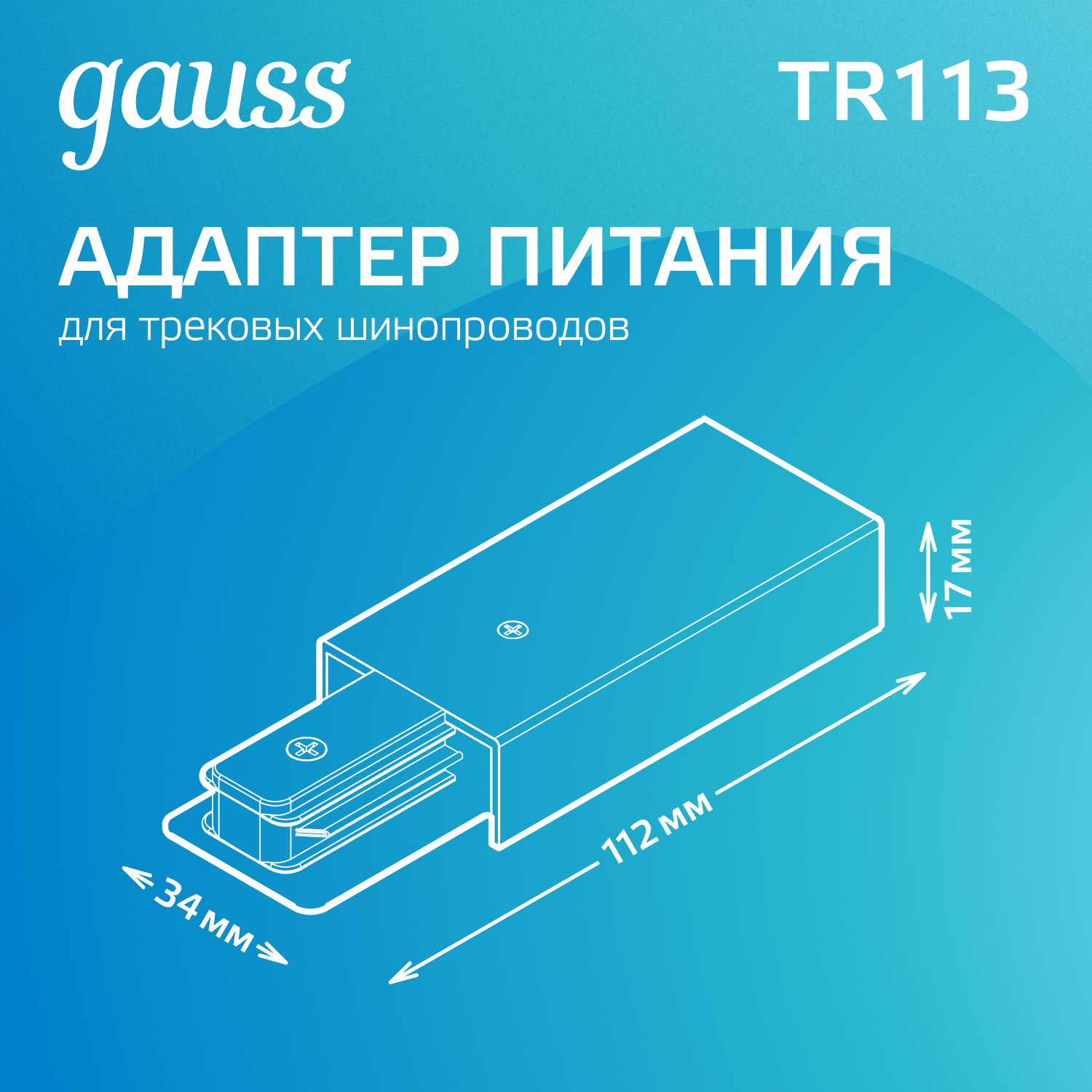 Адаптер питания для подключения трековых шинопроводов к сети черный однофазный GAUSS TR113