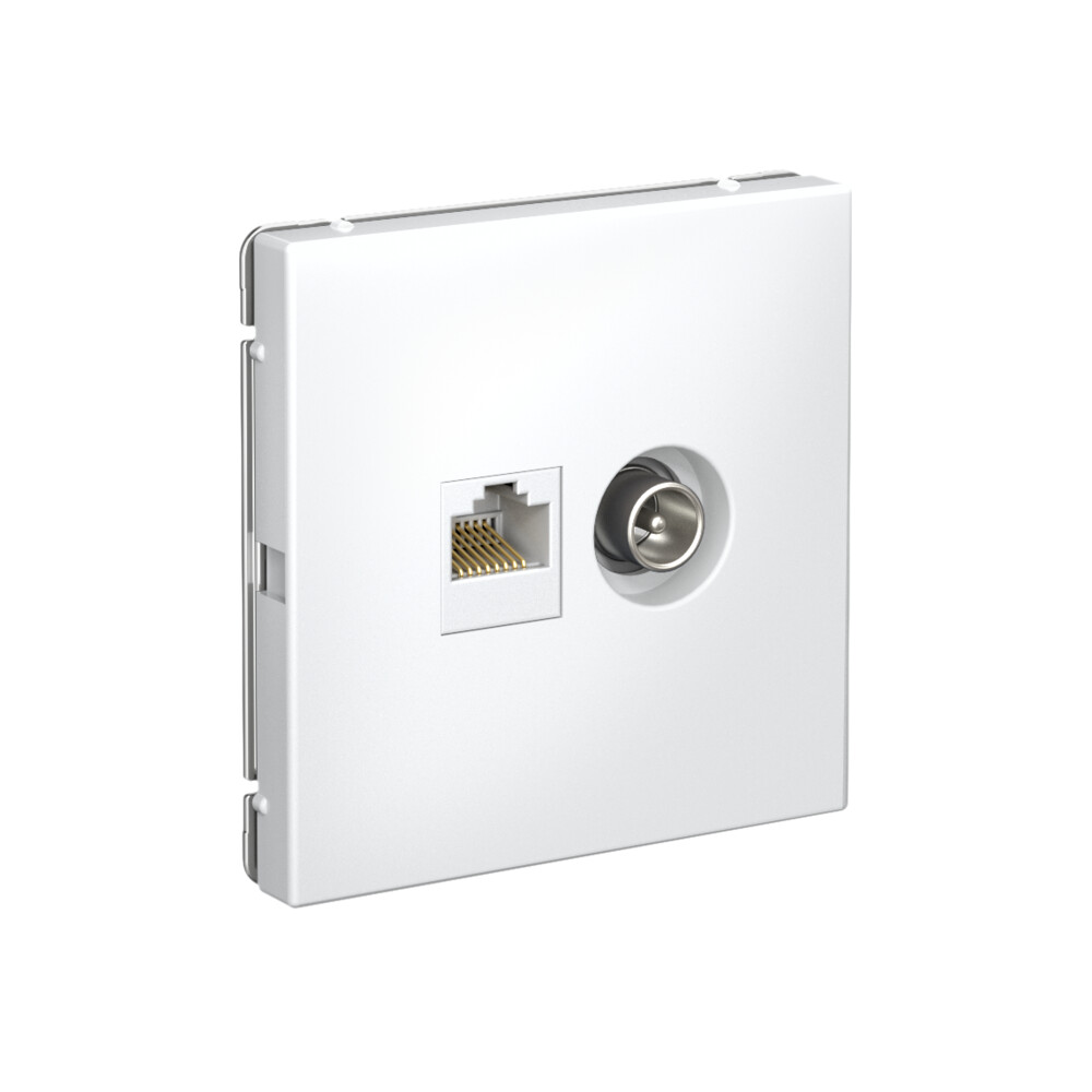 ARTGALLERY розетка двойная ТВ + компьютерная RJ45, кат. 5Е, лотос Systeme Electric GAL001389