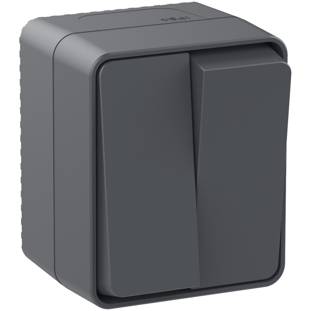 AtlasDesign Profi54 выключатель двухклавишный IP54 10 АХ, АНТРАЦИТ, Россия Systeme Electric ATN544051