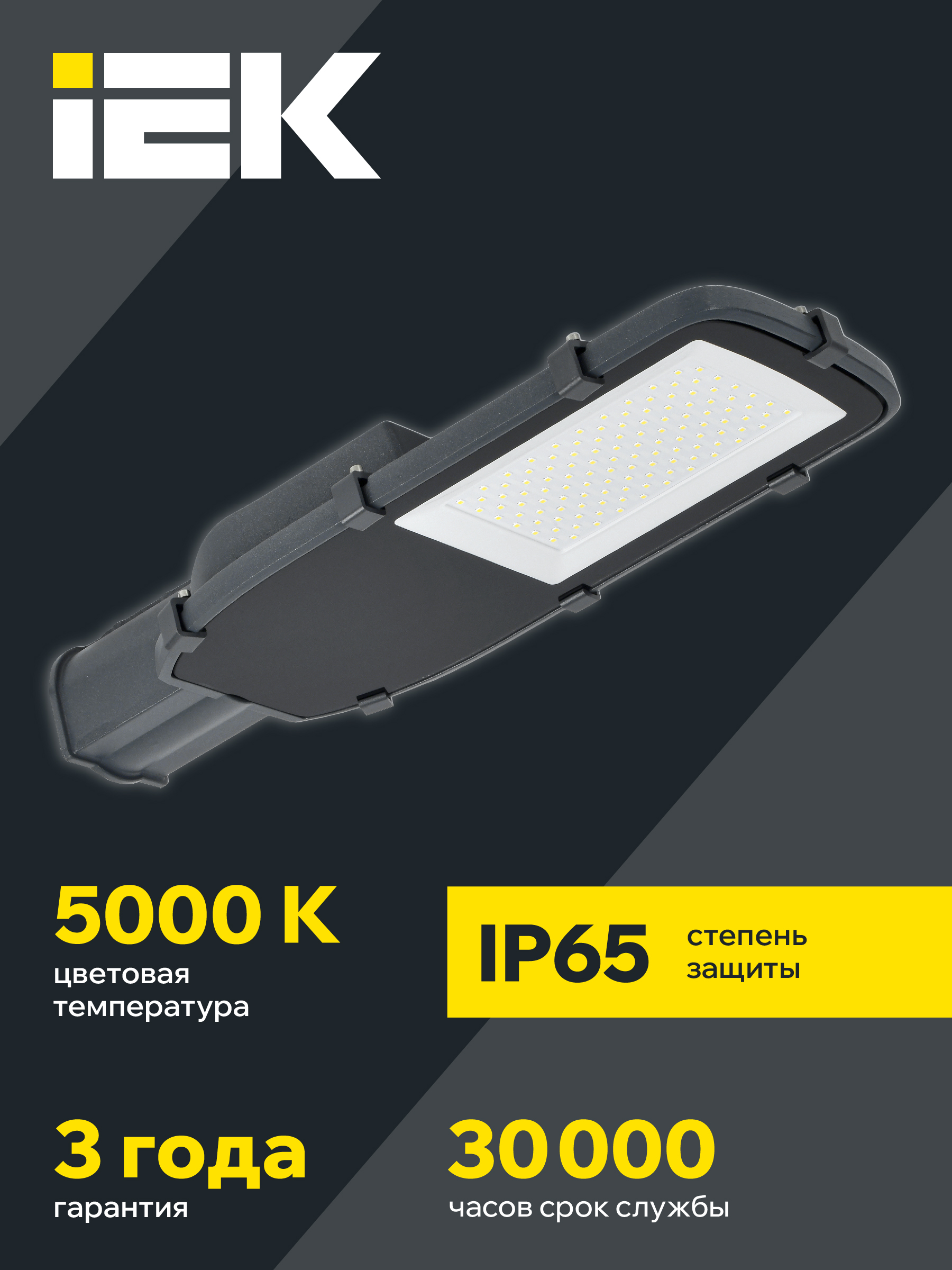 Светильник светодиодный консольный ДКУ 1002-100Д 5000К IP65 серый IEK LDKU0-1002-100-5000-K03