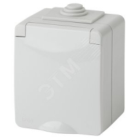 Розетка однофазная наружная (открытой установки) с заземлением без шторок серый 16А 250В IP65 винтовые клеммы 11-2601-03 Эра Эксперт ЭРА Б0035988