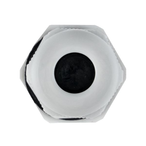 Сальник PG-9 диаметр кабеля 6-7 IP54 EKF plc-pg-9