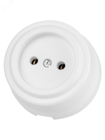 Розетка 2П 10А 250В белая «Виви» TDM TDM ELECTRIC SQ1820-1011