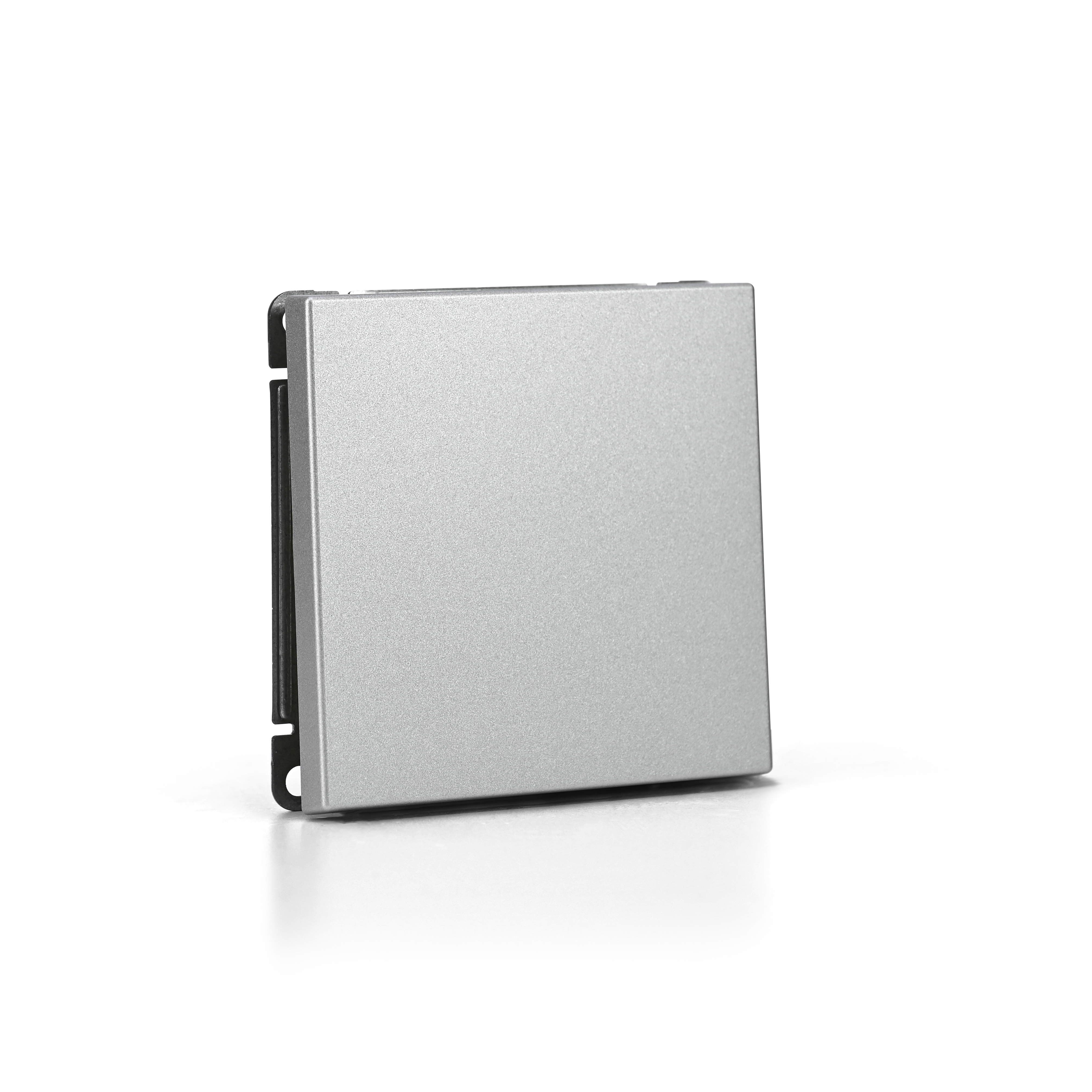 ARTGALLERY 1-клавишный переключатель IP44, 10АХ, механизм, алюминий Systeme Electric GAL440361