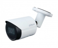 Видеокамера IP 2Мп цилиндрическая уличная IP67 ИК-30м с PoE (2.8мм) Dahua DH-IPC-HFW2230SP-S-0280B-S2 142856