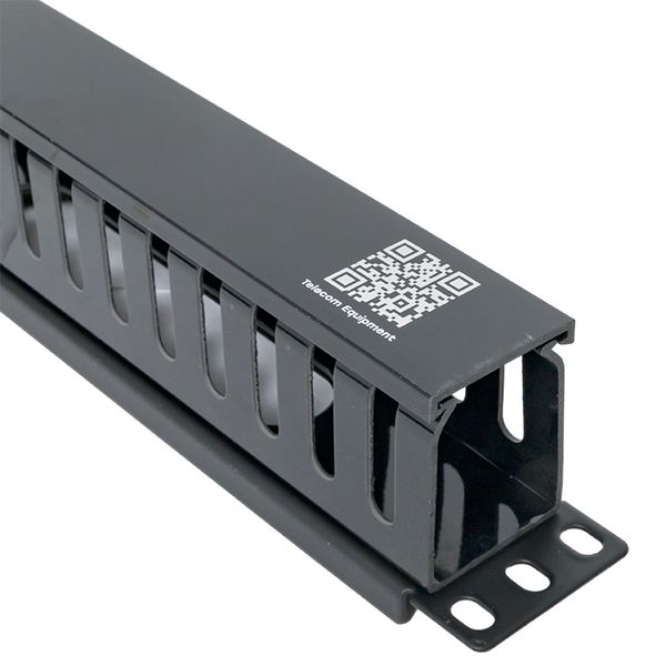 Органайзер кабельный TERACOM PRO с крышкой 19'' 1U пластиковый черный EKF TRP-1CORF-PL-BK