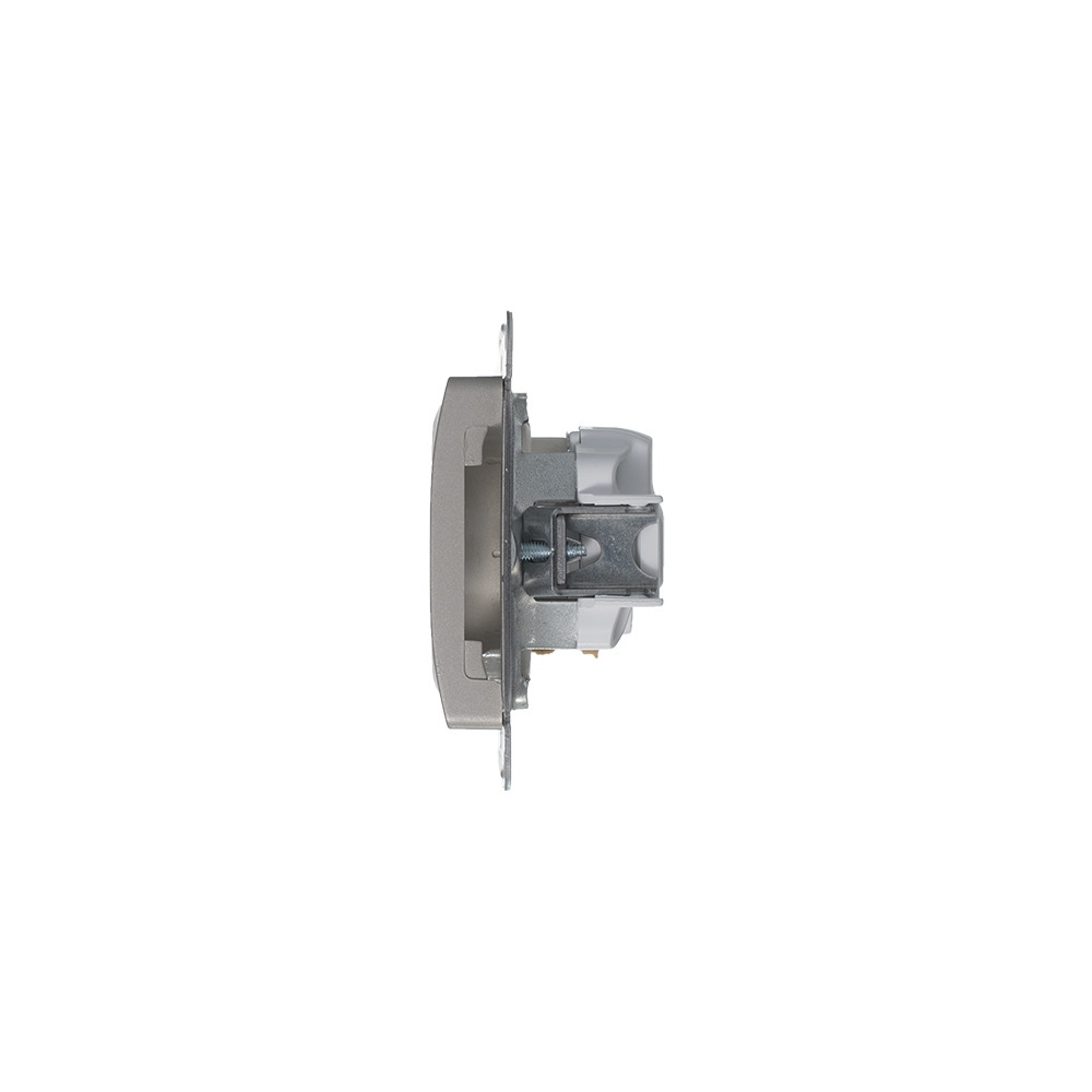 GLOSSA розетка с заземлением платина Systeme Electric GSL001243