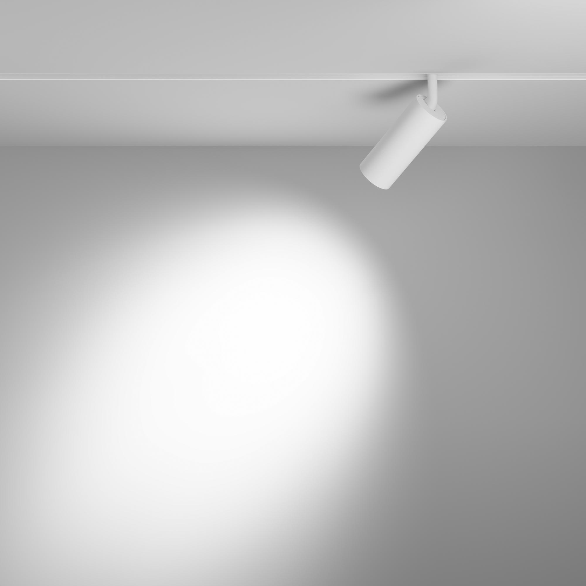 Светильник трековый Focus Led Exility 2700-6000K 12Вт 36 град Dim Smart Zigbee Maytoni TR032-4-12WTW-M-DSZ-W