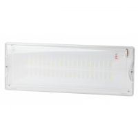 Аварийный светильник DPA-301-1-65 постоянный 40LED 3ч IP65 NiCD ЭРА Б0051843