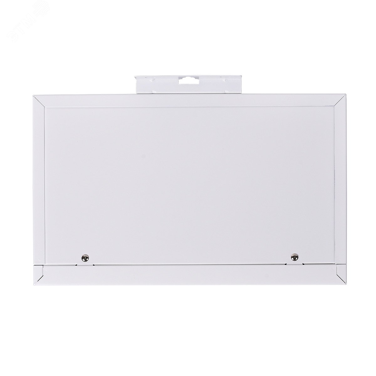 Котел электрический Boss 12 Wi-Fi (White) настенный Thermex 511704 ЭдЭБ05052
