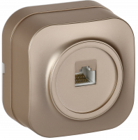 GLORY Розетка для открытой установки компьютерная RJ45 кат.5E РК10-ХШм шампань матовый IEK EKH10-K37M