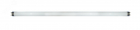Лампа линейная люминесцентная ЛЛ 18вт T8 18/765 2 30В G13 BELLIGHT 14098862