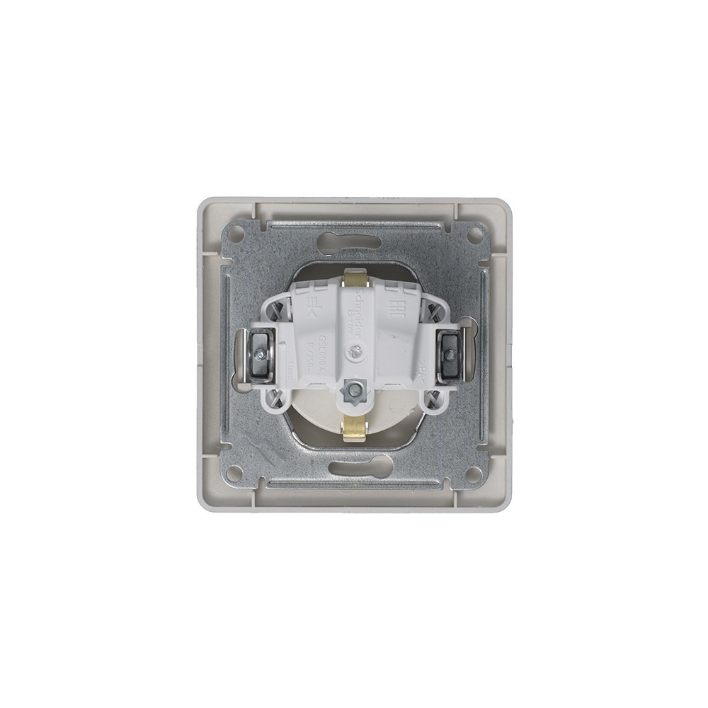 GLOSSA розетка с заземлением в сборе платина Systeme Electric GSL001242
