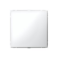 ARTGALLERY заглушка без суппорта для многопостовых рамок, белый Systeme Electric GAL000109
