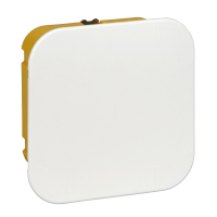 Коробка распределительная для полых стен 100x100x50 DIY Systeme Electric IMT351611