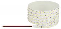 Лента светодиодная 14,4Вт/м 12В 6500К IP20 180LED/м LS2835-14,4-180-12-6500K-IP20-1 year-5m ЭРА Б0059905