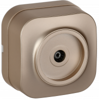 GLORY Розетка для открытой установки TV РТВ20-ХШм шампань матовый IEK EAH10-K37M