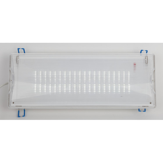 Аварийный светильник DPA-301-1-65 постоянный 40LED 3ч IP65 NiCD ЭРА Б0051843