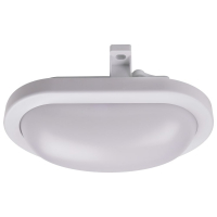 Светильник светодиодный ДБП-12W 4000K 900Лм овальный пластик IP65 Jazzway JazzWay 5009264 5009264*