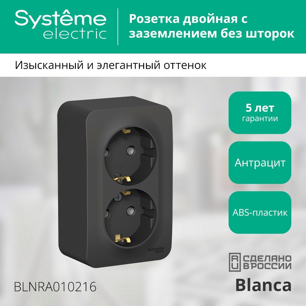 BLANCA розетка наружная двойная с заземлением без шторок с изолирующей пластиной, 16А, 250В, антрацит Systeme Electric BLNRA010216