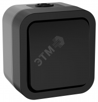Выключатель кнопочный TORS 10А IP55 графит IEK TS-V14-0-10-55-K53
