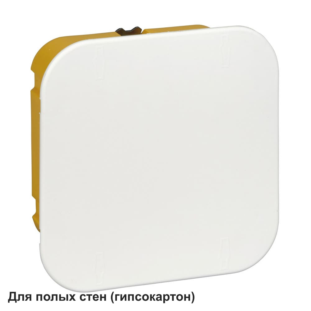 Коробка распределительная для полых стен 100x100x50 DIY Systeme Electric IMT351611