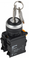 Переключатель с ключом 2 полож. 1NO+1NC чёрный MASTER IEK MI-SW60-11Y-3-34-2-K02