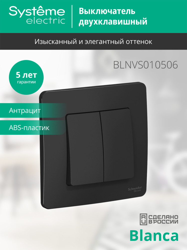 BLANCA скрытой установки двухклавишный выключатель (cх.5), 10A, 250B, антрацит Systeme Electric BLNVS010506
