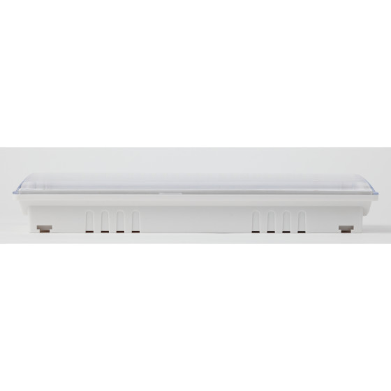 Аварийный светильник DPA-301-1-65 постоянный 40LED 3ч IP65 NiCD ЭРА Б0051843