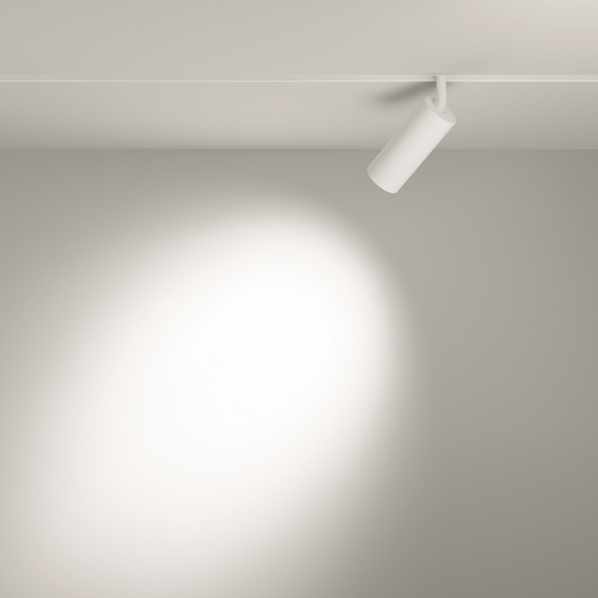 Светильник трековый Focus Led Exility 3000K 12Вт 24 град Maytoni TR032-2-12W3K-S-W