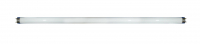 Лампа линейная люминесцентная ЛЛ 18вт T8 18/640 230В G13 BELLIGHT 14098854